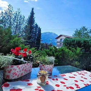 Alpenherz Apartment